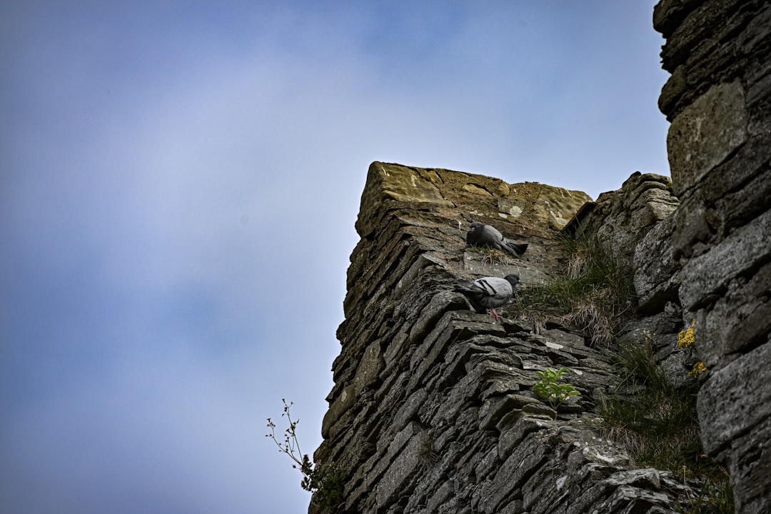 El Sueño de la Caída: Mensajes de los Ancestros y el Lamento de Yemayá