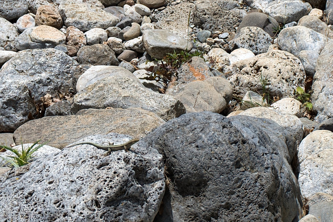A bunch of rocks that are sitting on the ground