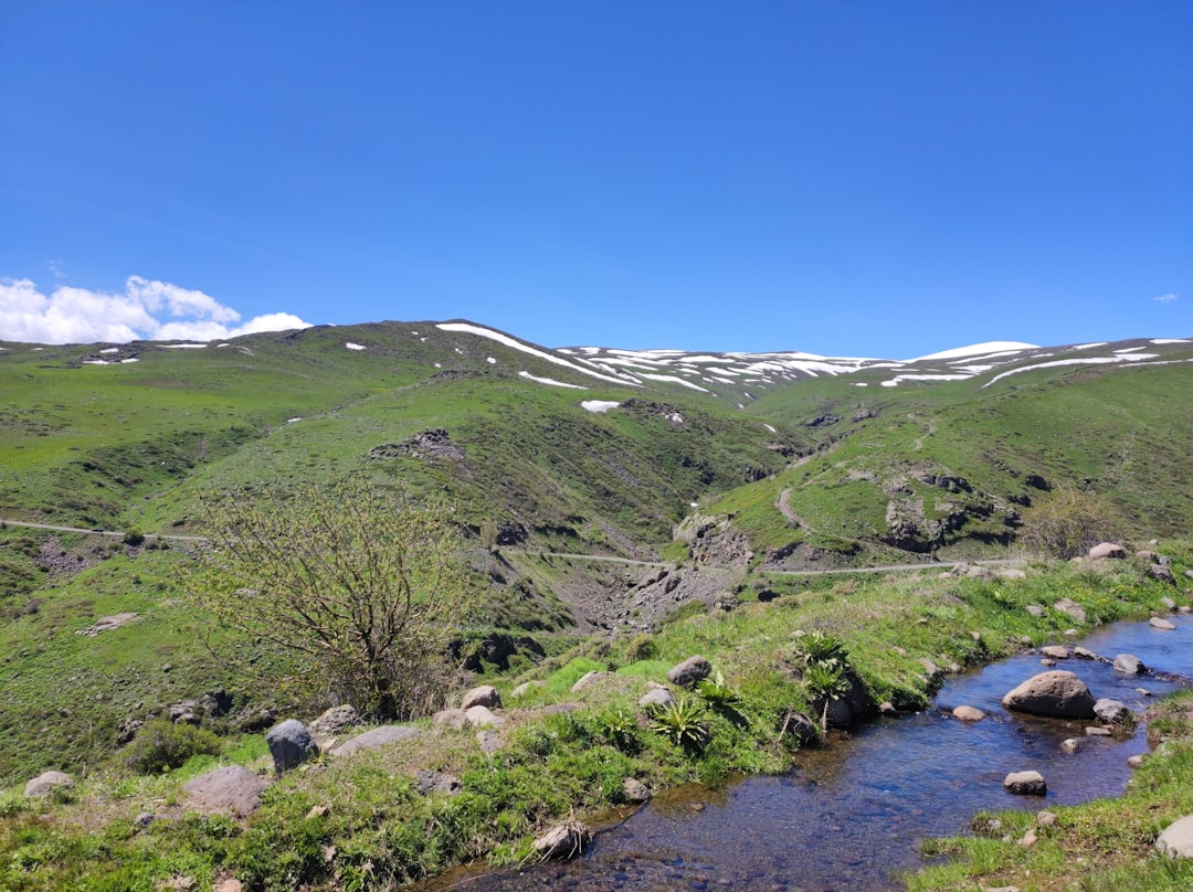 El Agua de Manantial en tus Sueños: Mensajes del Alma y la Tierra