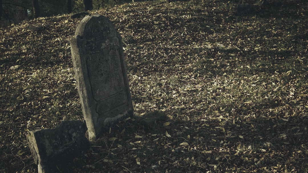 El Lazo Invisible: Interpretando Sueños con Seres Queridos Fallecidos desde el Corazón Latinoamericano