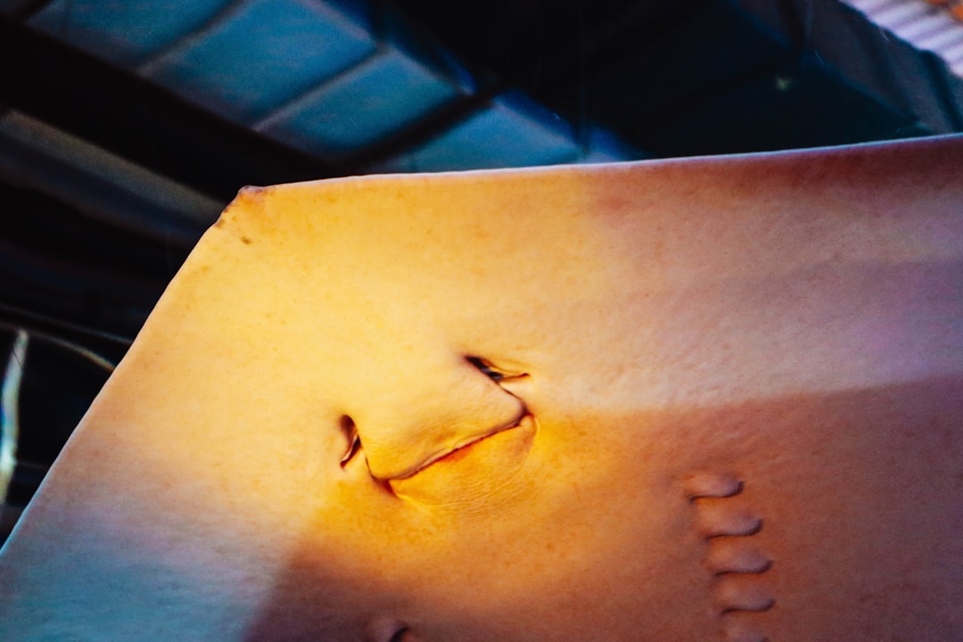 El Poder de la Cicatriz en tus Sueños: Un Viaje Místico y Psicológico