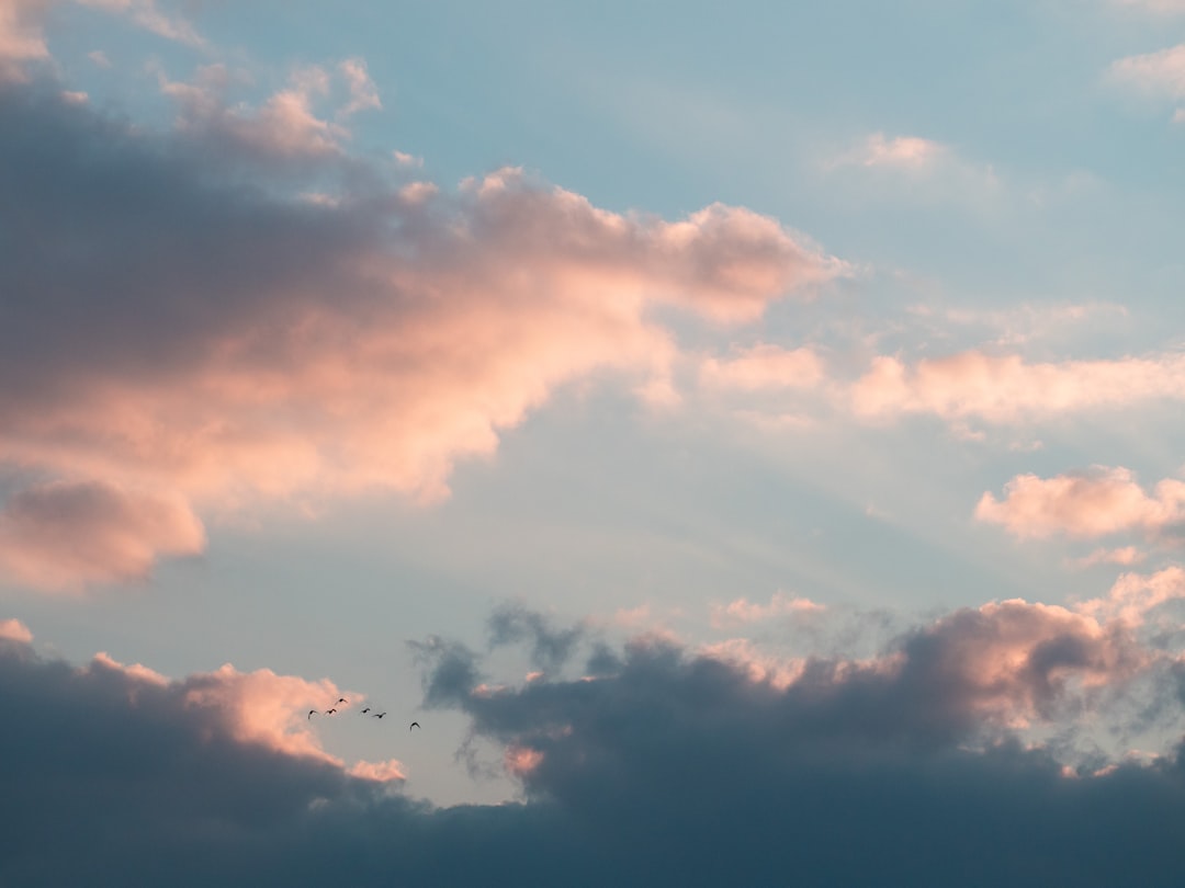 Volar en el Cielo: Un Vuelo del Alma a Través de los Sueños Latinoamericanos