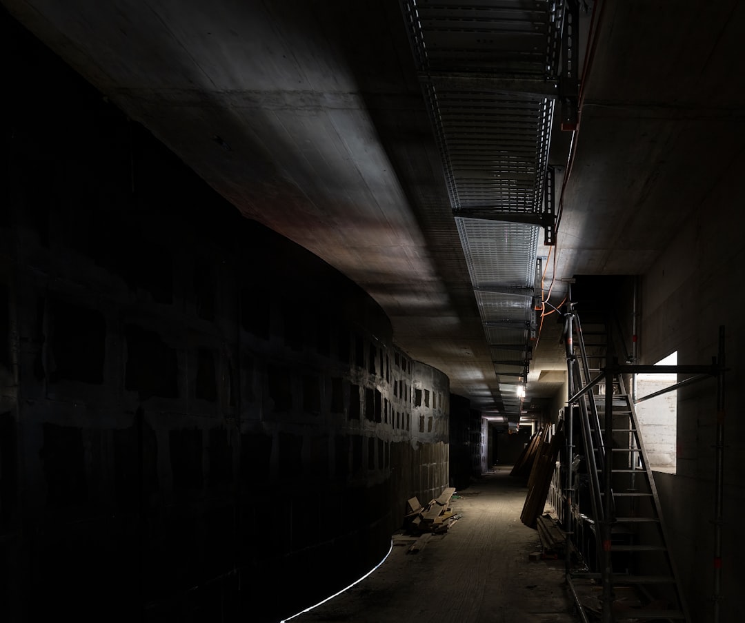 El Sótano en el Sueño: Un Viaje al Inframundo y la Consciencia Profunda