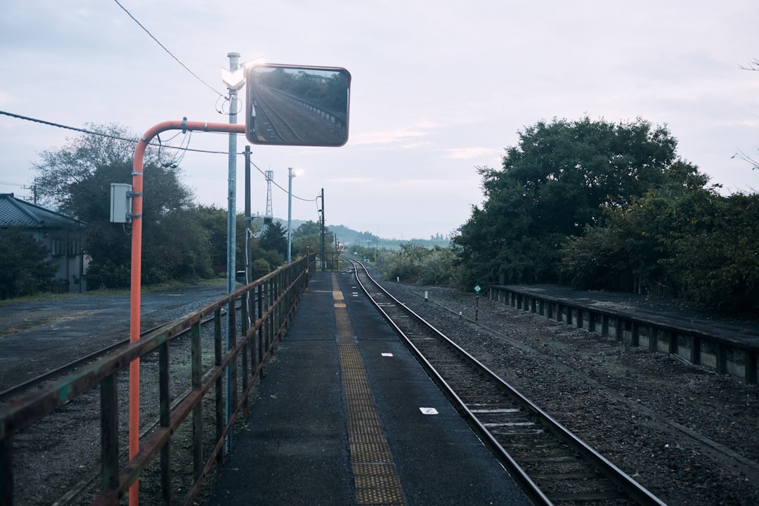 El Tren de los Sueños: Un Viaje a Través del Misticismo Latinoamericano y la Psicología Profunda