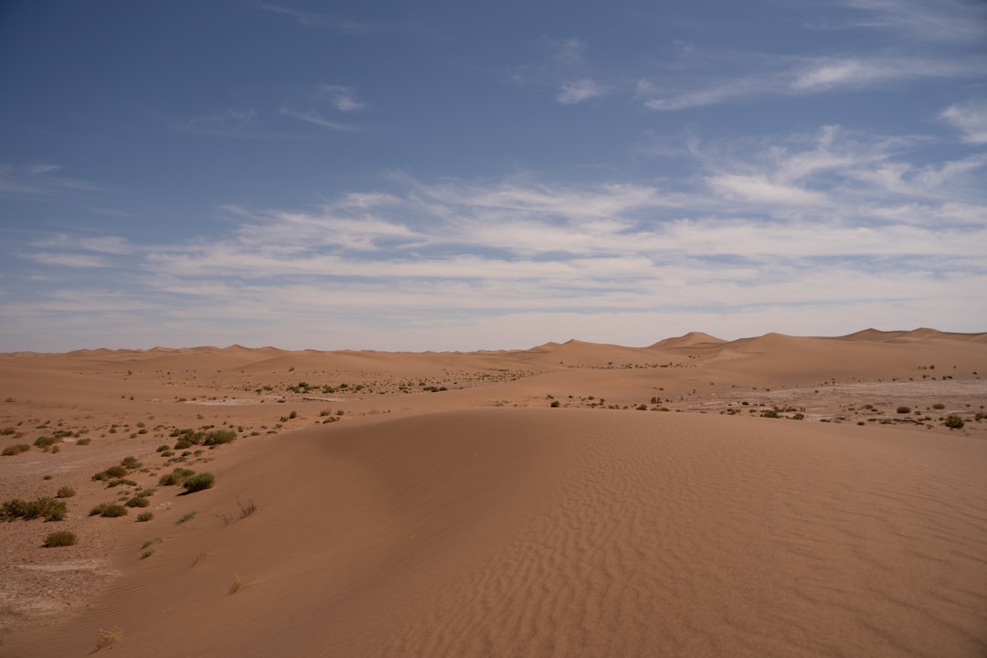 El Desierto en los Sueños: Un Viaje Místico a Través del Alma Latinoamericana