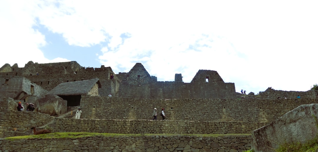 El Fuego Sagrado de la Llama: Un Viaje Místico a Través de tus Sueños