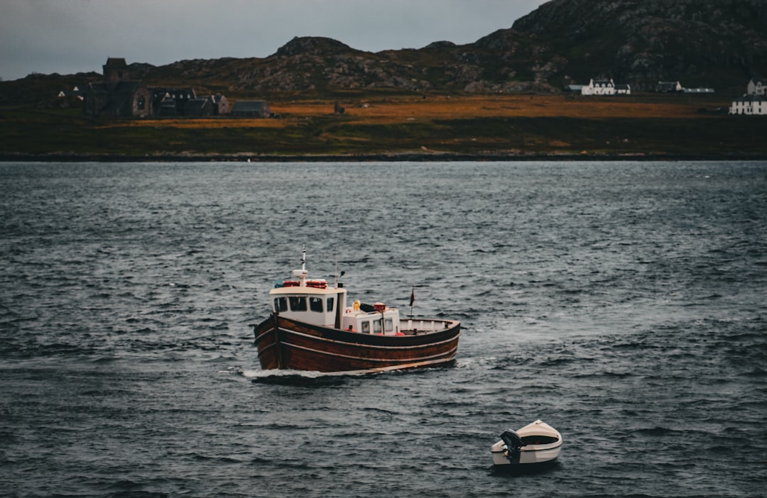 El Misterio de la Foca en Tus Sueños: Un Viaje por la Mística Latinoamericana y Española